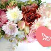 ヒメ日記 2025/10/11 20:01 投稿 しほの ご近所物語