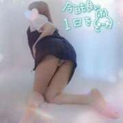 ヒメ日記 2025/11/04 08:43 投稿 しほの ご近所物語