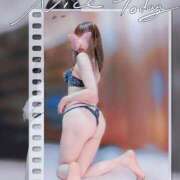 ヒメ日記 2025/11/13 15:18 投稿 しほの ご近所物語