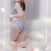 ヒメ日記 2025/11/14 21:26 投稿 しほの ご近所物語