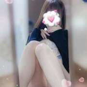 ヒメ日記 2025/11/17 15:02 投稿 しほの ご近所物語