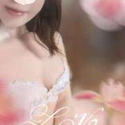 ヒメ日記 2025/11/20 16:28 投稿 しほの ご近所物語