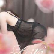 ヒメ日記 2025/11/21 19:56 投稿 しほの ご近所物語