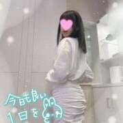 ヒメ日記 2025/12/09 08:30 投稿 しほの ご近所物語