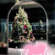 ヒメ日記 2025/12/17 04:39 投稿 しほの ご近所物語