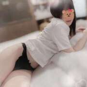 ヒメ日記 2025/12/29 15:04 投稿 しほの ご近所物語