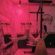 ヒメ日記 2026/01/26 17:16 投稿 しほの ご近所物語