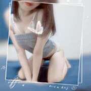 ヒメ日記 2026/02/12 15:03 投稿 しほの ご近所物語