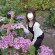 ヒメ日記 2026/07/04 08:31 投稿 しほの ご近所物語
