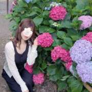 ヒメ日記 2026/07/10 08:30 投稿 しほの ご近所物語