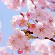 ヒメ日記 2025/04/14 09:40 投稿 かおり 尼妻（あまづま）