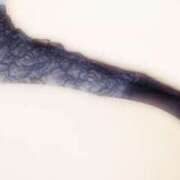 ヒメ日記 2025/05/15 02:19 投稿 かおり 尼妻（あまづま）