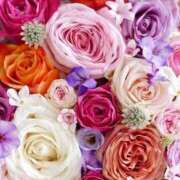 ヒメ日記 2025/05/31 22:19 投稿 川田みさき セクシーキャット 神田店