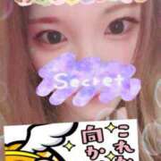 ヒメ日記 2025/07/21 07:43 投稿 川田みさき セクシーキャット 神田店