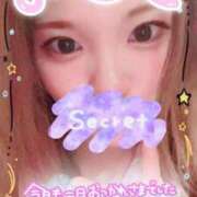 ヒメ日記 2025/09/08 17:42 投稿 川田みさき セクシーキャット 神田店