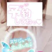 ヒメ日記 2025/11/10 16:47 投稿 川田みさき セクシーキャット 神田店