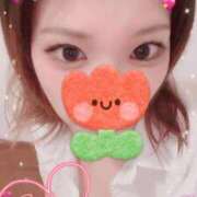 ヒメ日記 2026/01/08 07:58 投稿 川田みさき セクシーキャット 神田店