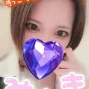 ヒメ日記 2026/02/02 12:14 投稿 川田みさき セクシーキャット 神田店