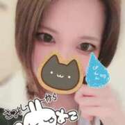 ヒメ日記 2026/02/23 12:42 投稿 川田みさき セクシーキャット 神田店