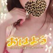 ヒメ日記 2026/02/27 08:20 投稿 川田みさき セクシーキャット 神田店