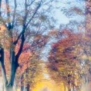 ヒメ日記 2025/11/26 14:38 投稿 りんね 福生デリ倶楽部