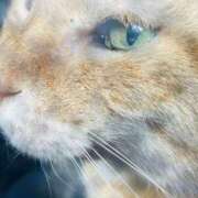 ヒメ日記 2025/11/30 19:43 投稿 りんね 福生デリ倶楽部