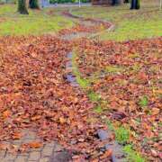 ヒメ日記 2025/12/04 08:41 投稿 りんね 福生デリ倶楽部