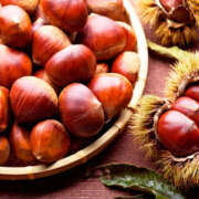 ヒメ日記 2025/12/10 01:13 投稿 りんね 福生デリ倶楽部