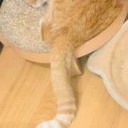 ヒメ日記 2026/03/06 21:42 投稿 りんね 福生デリ倶楽部