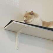 ヒメ日記 2026/03/13 18:11 投稿 りんね 福生デリ倶楽部