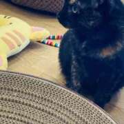 ヒメ日記 2026/03/16 08:35 投稿 りんね 福生デリ倶楽部