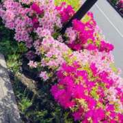 ヒメ日記 2026/05/01 07:15 投稿 りんね 福生デリ倶楽部