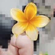 ヒメ日記 2025/09/05 02:02 投稿 はのん ぽちゃカワ女子専門店　藤沢湘南店