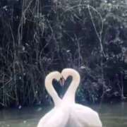 ヒメ日記 2025/10/01 00:02 投稿 はのん ぽちゃカワ女子専門店　藤沢湘南店