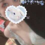 ヒメ日記 2025/04/12 23:56 投稿 ねお☆会った瞬間から恋人感覚 じゃむじゃむ長野店