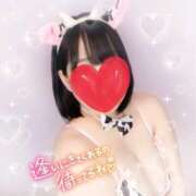 ヒメ日記 2025/04/16 13:03 投稿 しほ☆初々しさとエロのコラボ ぽちゃぶらんか甲府店(カサブランカグループ)