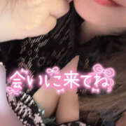 ヒメ日記 2025/05/02 10:11 投稿 あきね ハピネス東京