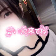 ヒメ日記 2025/05/17 20:08 投稿 あきね ハピネス東京