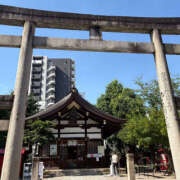 ヒメ日記 2025/06/25 13:48 投稿 あきね ハピネス東京