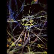 ヒメ日記 2026/03/11 12:07 投稿 あきね ハピネス東京