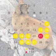 ヒメ日記 2026/07/29 12:40 投稿 あきね ハピネス東京