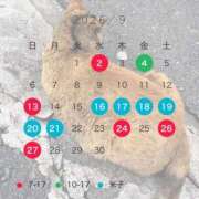 ヒメ日記 2026/08/25 17:57 投稿 あきね ハピネス東京