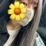 ヒメ日記 2025/05/27 18:48 投稿 桜井 ひなの メルビス＆アトリアーナ