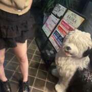 ヒメ日記 2025/05/20 18:21 投稿 せな しろうと娘in新宿