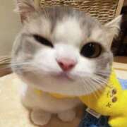 ヒメ日記 2025/05/11 19:10 投稿 藤宮ひより 恋する妻たち