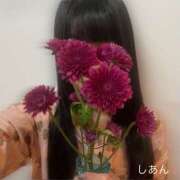 ヒメ日記 2026/01/10 10:50 投稿 しあん 神田添い寝女子