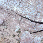 ヒメ日記 2025/05/21 00:08 投稿 翠那(あきな) 恋愛マット同好会