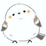 ヒメ日記 2025/06/26 08:18 投稿 翠那(あきな) 恋愛マット同好会