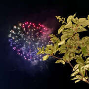 ヒメ日記 2025/07/06 08:18 投稿 翠那(あきな) 恋愛マット同好会