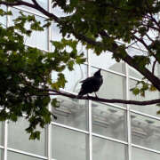 ヒメ日記 2025/07/26 21:38 投稿 翠那(あきな) 恋愛マット同好会